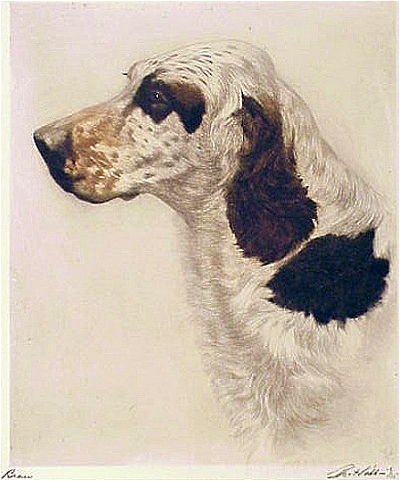 a dog etched by Bert Cobb